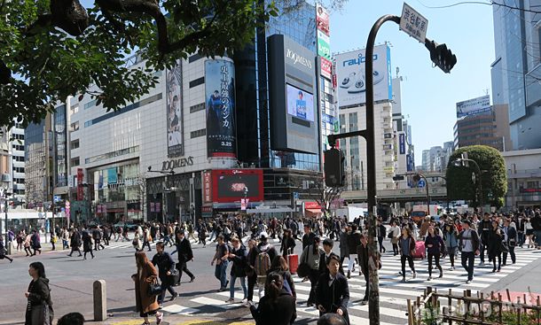 Shibuya crossing every morning