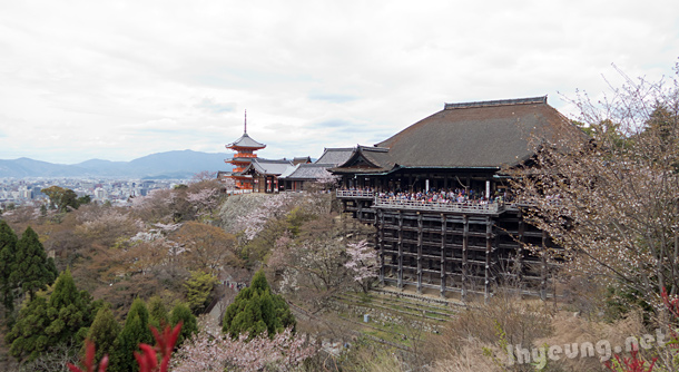 Amazing view of Kiyomizu Temple