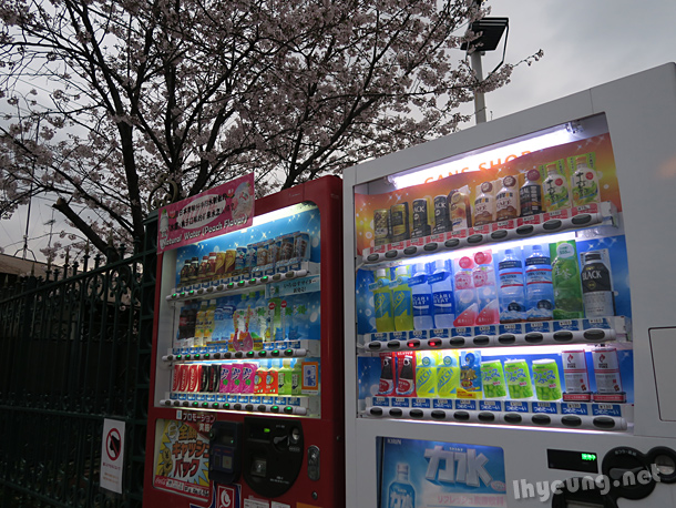 Vending machines under the cherry blossoms.