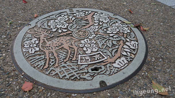 Manholes of Nara