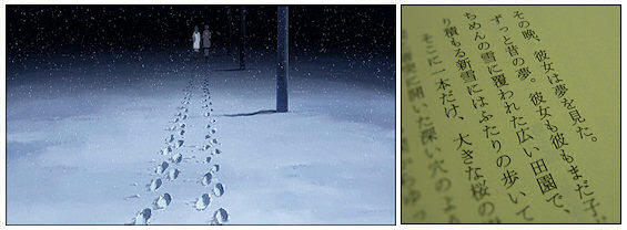 5 Centimeters per Second 1-1