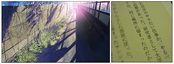 5 Centimetres per Second 2-4