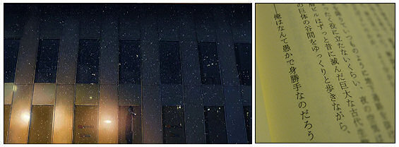 5 Centimetres per Second 6-2