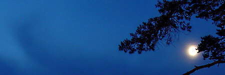 Random night scene. Random night scene.