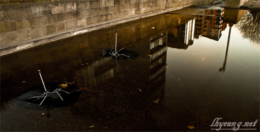 After The Rain...