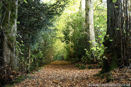 Original trail photo.