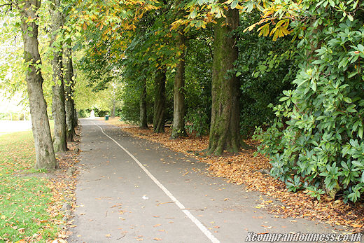 Cycling lane.