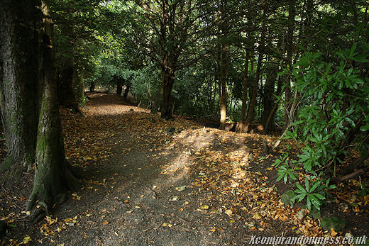 Another trail.