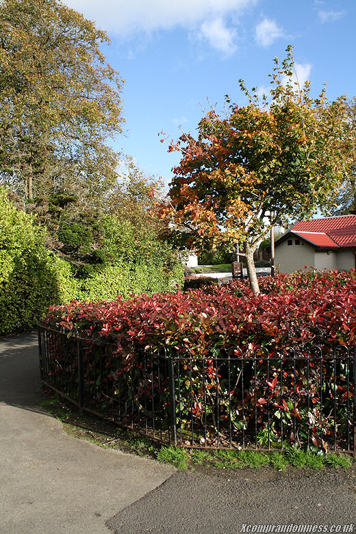 Nice house.