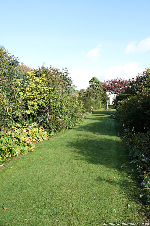 Walking towards the Autumn Walk.