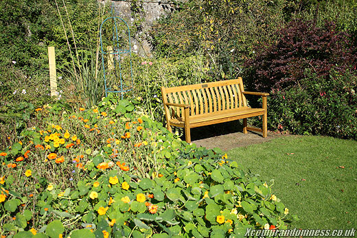 Summer Garden