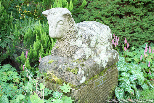 Lamb