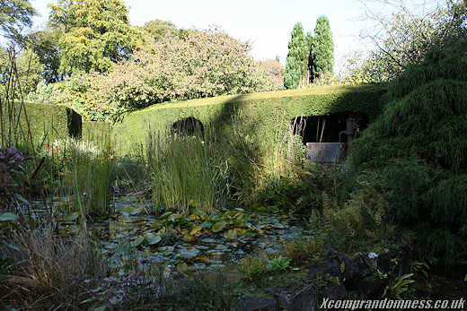 Raised Beds