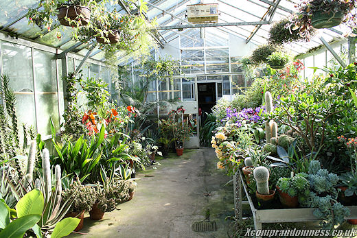 Glass House
