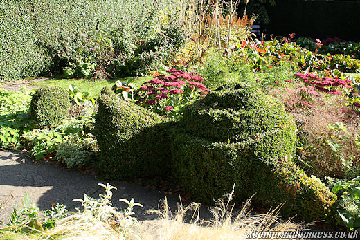 Snail.