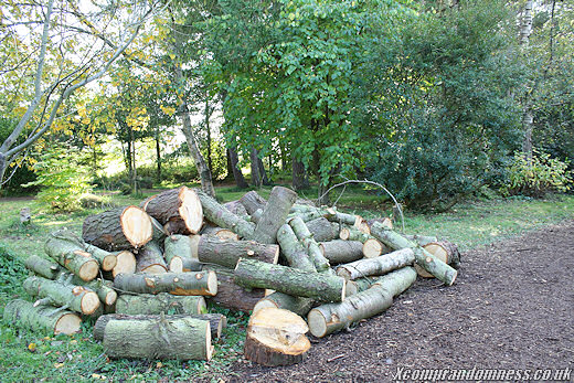 Logs