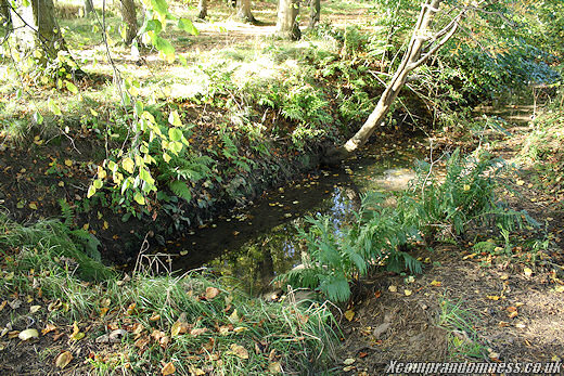 Stream.