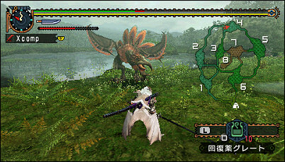 Monster Hunter Portable 2nd G, New Challenges and the Felyne Buddy