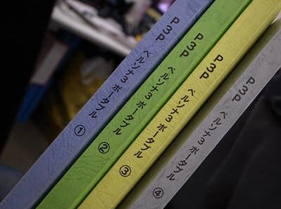 P3P Script Books