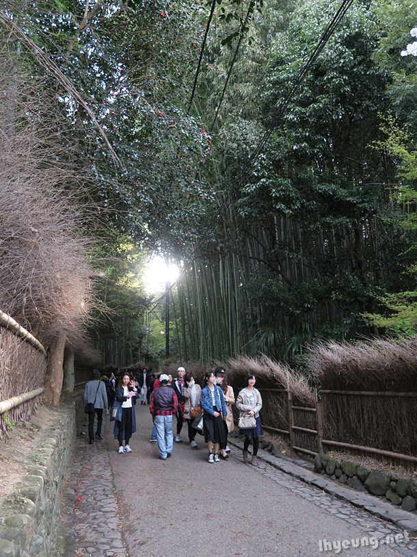 Arashiyama, Bamboo Grove