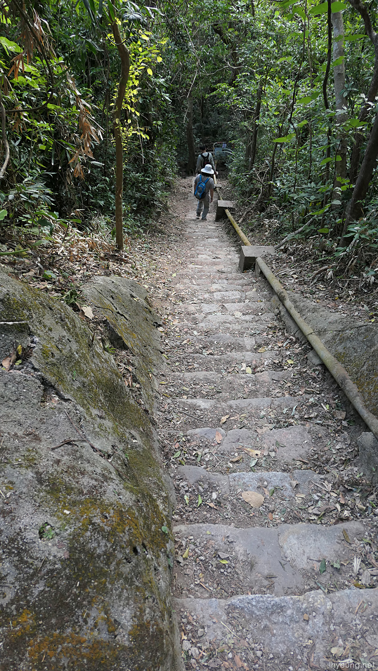 More stairs...