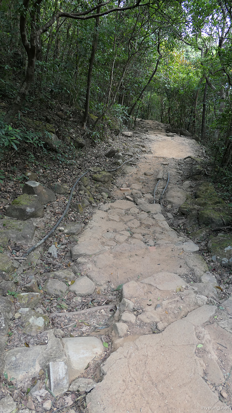 And lots of uneven rocky ground to walk on.