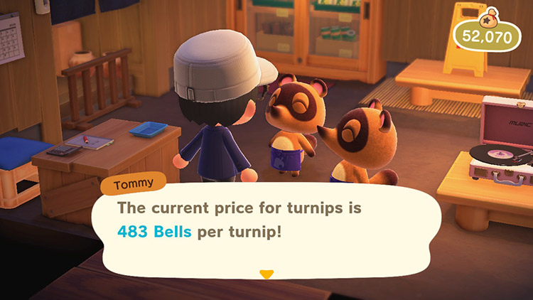 Sell when turnip prices are high.