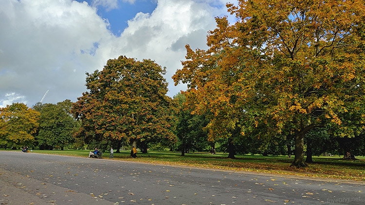 Autumn in Kensington Park