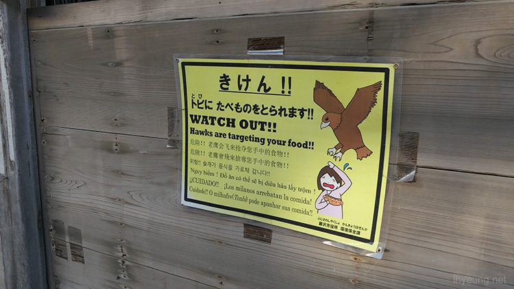 Beware of hawks after your food.