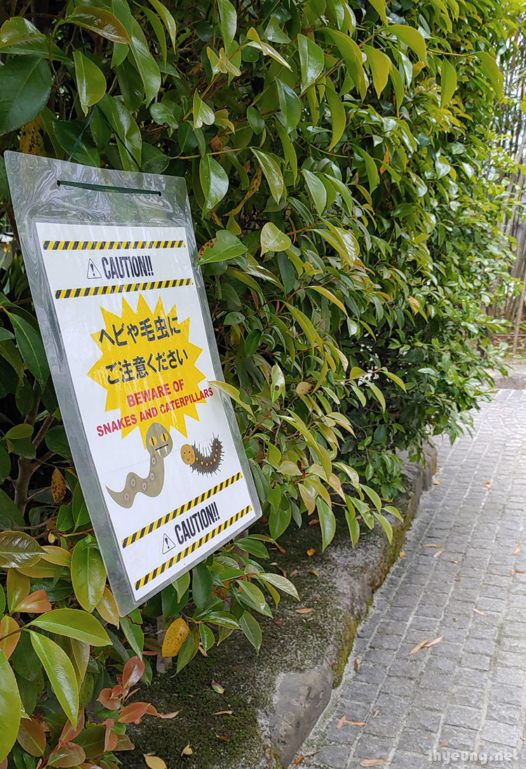 Beware of snakes and caterpillars. That unsafe here?