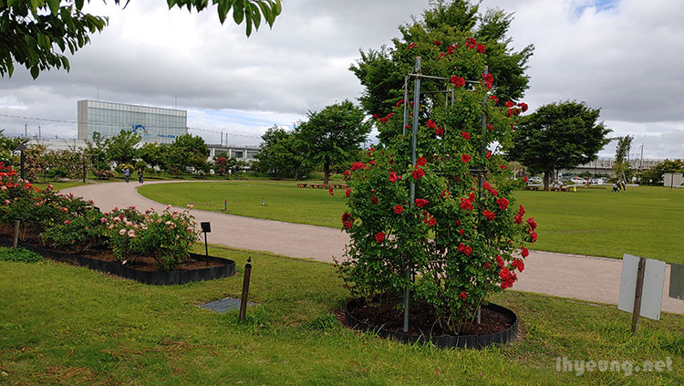 Park was well maintained. Park was well maintained.