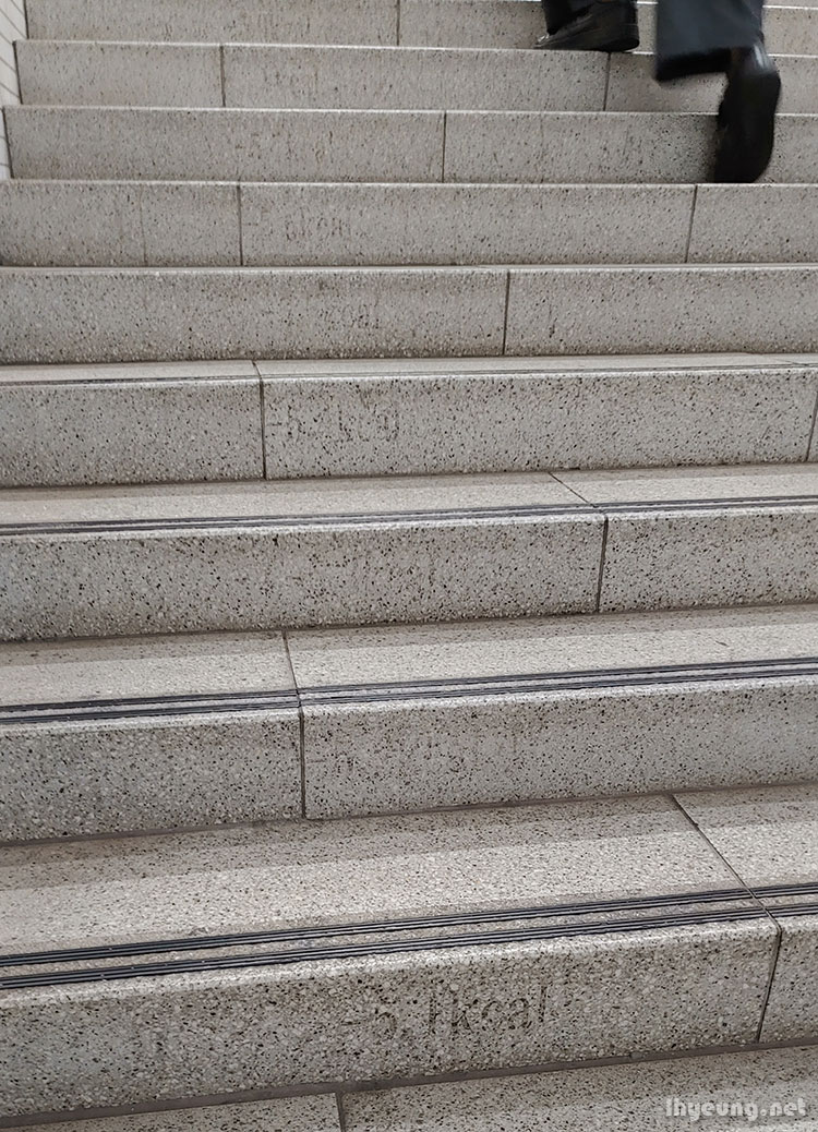 How many calories do you burn walking up these stairs?