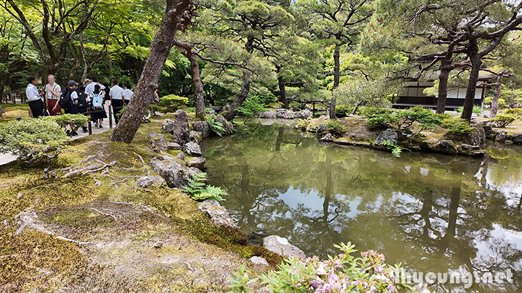 Lots of students about Kyoto on a school trip.