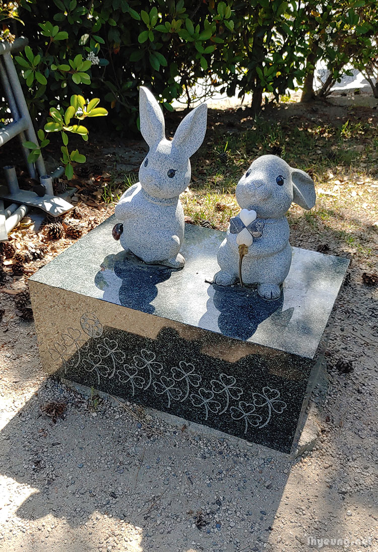 Magical rabbits.