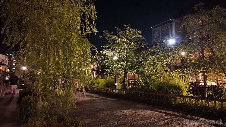 Weeping willow trees of Japan.
