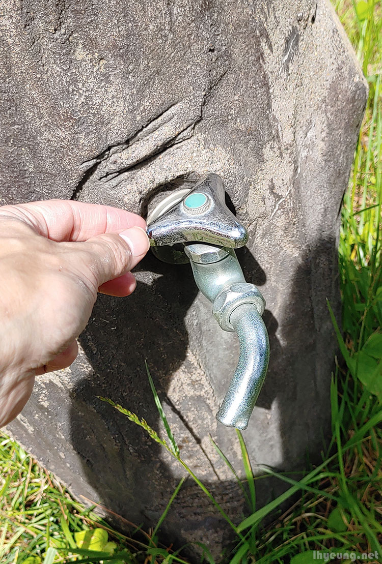 A camouflaged tap.