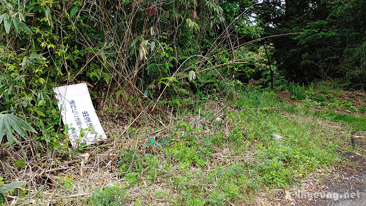 Beware of wild bears in Japan.