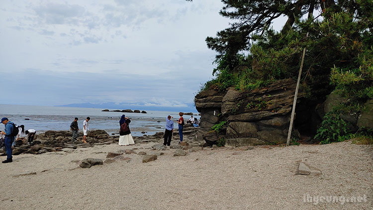 At the beach.
