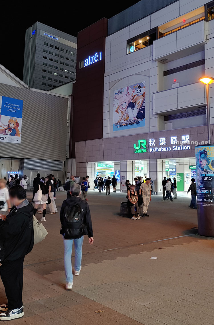 Night at Akiba Night at Akiba