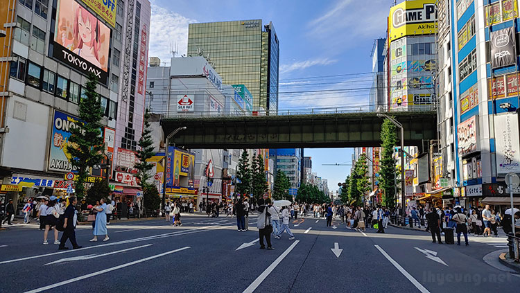 Pedestrian hours in Akihabara.