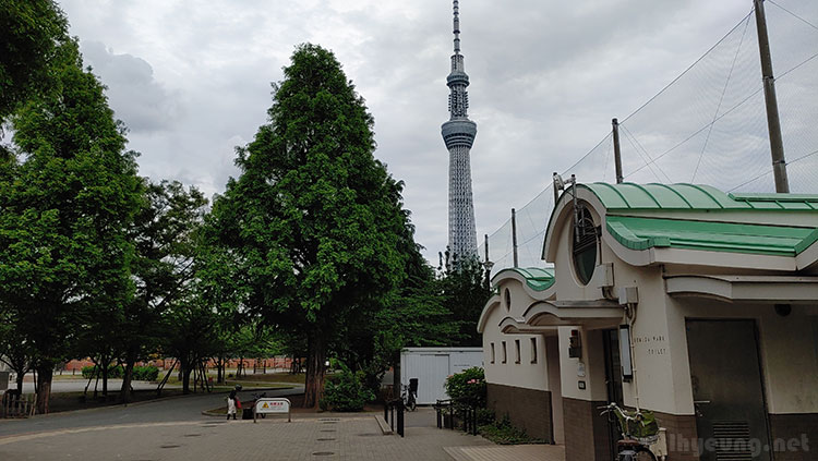 Skytree outside a Sumida Park toilet.
