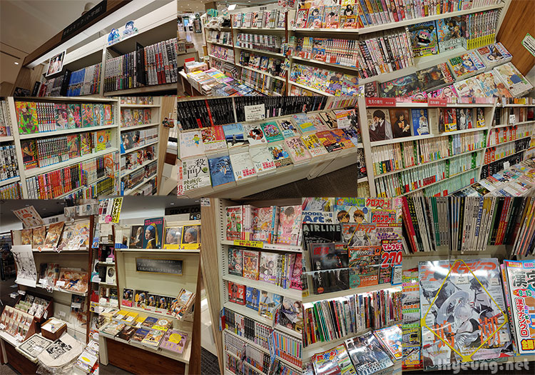 All the mainstream Manga that made it West and some others.